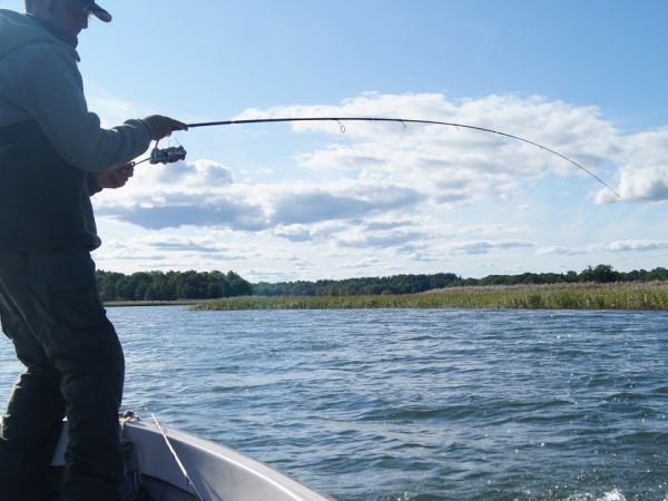 Las mareas y la pesca en agua salada